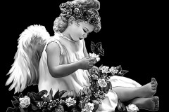 angel-19