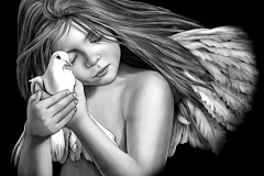 angel-34