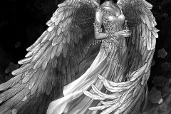 angel-40
