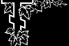cross-44