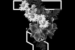 cross-49