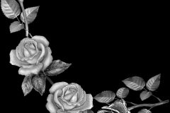 flower-104