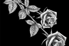flower-107