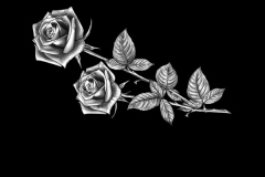 flower-108