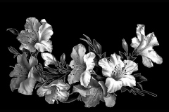 flower-12