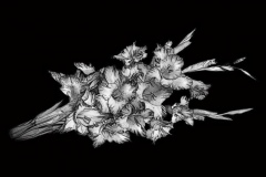 flower-14