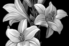 flower-16