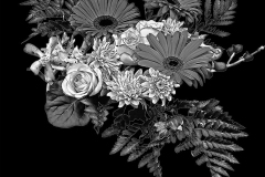 flower-19