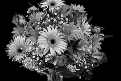 flower-20