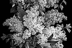 flower-29