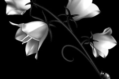 flower-3