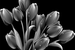flower-30