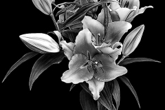 flower-32