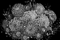 flower-33