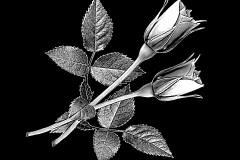flower-34