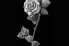 flower-37