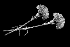 flower-40