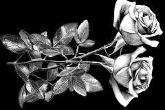 flower-45