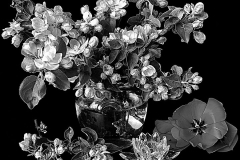 flower-48