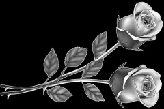 flower-5
