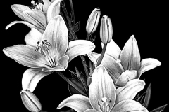 flower-52