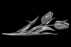 flower-53