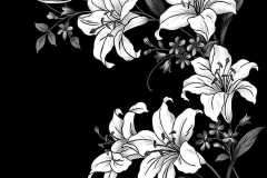 flower-54