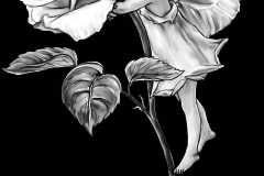 flower-59