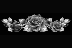 flower-79