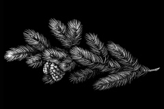 flower-85