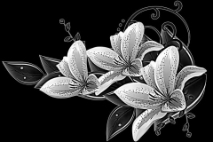 flower-86