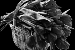 flower-88
