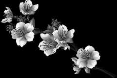 flower-92