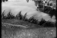 5aad532e3b969_1.jpg.a867a467c3318cfdacb79d03155e2487