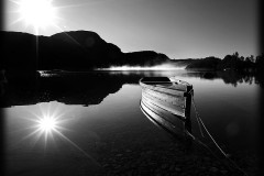 nature-16