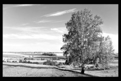 nature-24