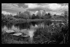 nature-31