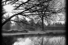 nature-5