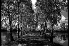 nature-9