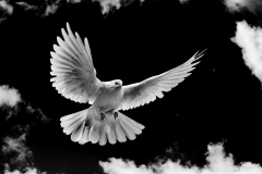 5099c6dbb5e8