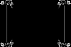 am9623-1