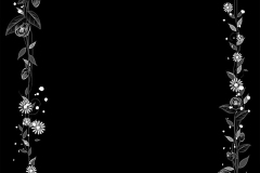 am9643-1