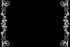 am9680-1