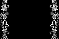 am9688-1
