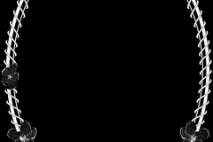 am9698-1