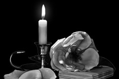 candles-26
